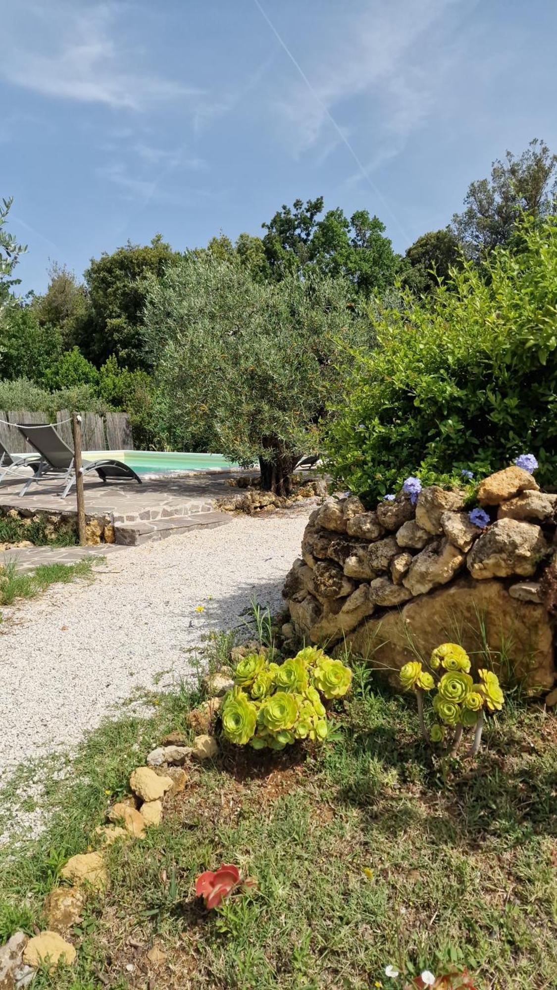 Il Panorama Apartment Montescudaio Bagian luar foto